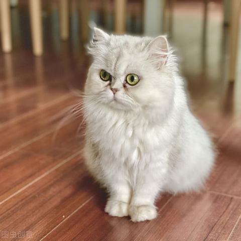 探索未来农业：彼得兔的庄园2024品牌新启动，数字化农业技术引领子辈们的健康生活方式