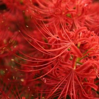 探索斯露德·异空的奇幻旅程:在平行世界中寻找自我与希望的意义 探索斯露德·异空的奇幻旅程:在平行世界中寻找自我与希望的意义