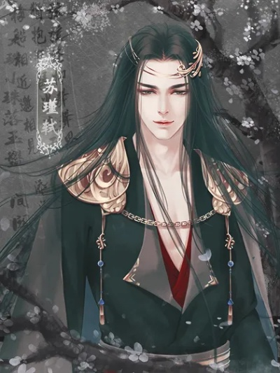 (苏铭是谁)苏铭渊和苏辰的年龄相差多少？