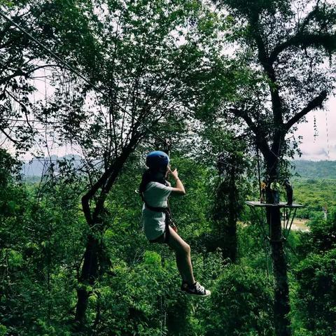 (神奇的探险之旅之原始森林探险)探险宝贝原生丛林:与神秘鸟儿展开大冒险 (神奇的探险之旅之原始森林探险)探险宝贝原生丛林:与神秘鸟儿展开大冒险