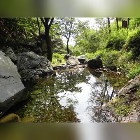 (神奇的探险之旅之原始森林探险)探险宝贝原生丛林:与神秘鸟儿展开大冒险 (神奇的探险之旅之原始森林探险)探险宝贝原生丛林:与神秘鸟儿展开大冒险