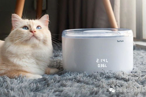 在现代生活中，养宠物是否真有必要？宠物对我们的生活影响与带来的益处分析