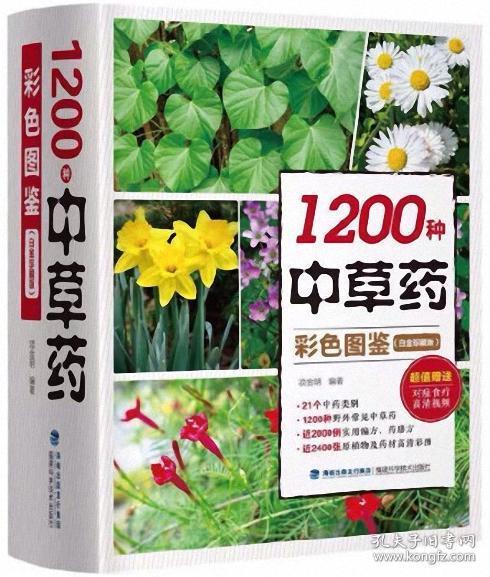 发现四季物语图鉴大全：探索四季的神奇色彩和生命力