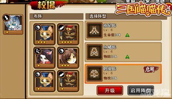 最新全面解析：《三国奇兵》实战攻略，细说武将升级与阵法布置绝技