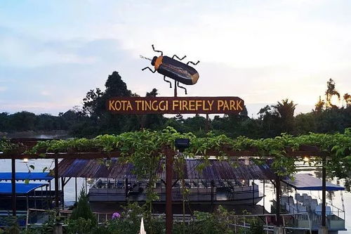 (双境什么时候更新)为什么双境之城进不去？探寻城市内部的隐秘之谜与禁忌传说