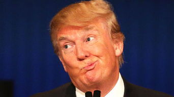 (特朗普的财团是干什么的)特朗普财长人选深陷混乱之中，局势前所未有的复杂和动荡