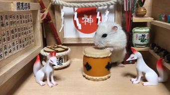 「寻觅仓鼠的点心天堂：探秘仓鼠点心工厂的美味奇妙」