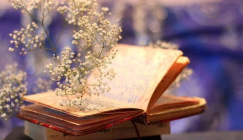 嗤笑无情之人，心中空虚何为忠诚