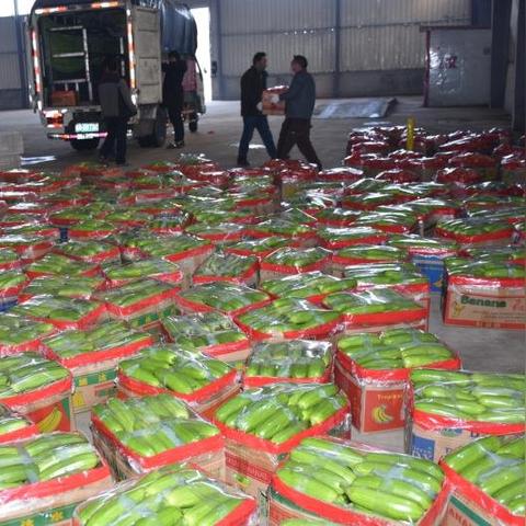 (东海航空 基地)东海航空基地的分布和布局情况统计分析 (东海航空 基地)东海航空基地的分布和布局情况统计分析