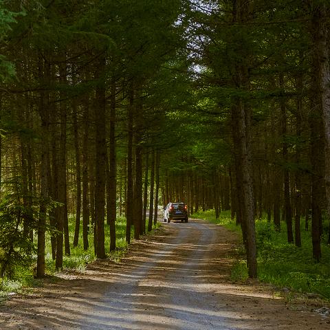 详细指南:如何在仙踪林网站免费入口进行注册并探索独特的在线体验 详细指南:如何在仙踪林网站免费入口进行注册并探索独特的在线体验