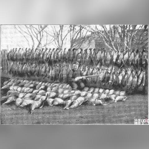 探秘神秘海域：以失落迷船的全部图解为线索，揭露历史上最引人入胜的航海谜团