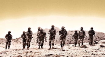 折射现实世界混乱：以战火与秩序站位为主题的战争文化与社会秩序关系研究