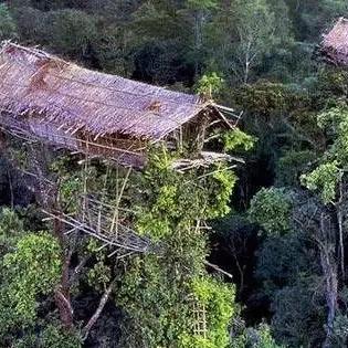 (2020年开心部落股票能上市吗)开心部落原始股最新消息：投资者热切期待股价走势