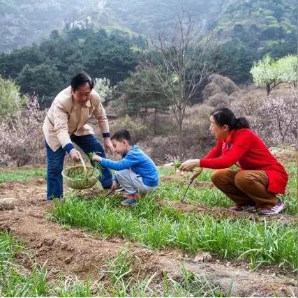 (2020年开心部落股票能上市吗)开心部落原始股最新消息:投资者热切期待股价走势 (2020年开心部落股票能上市吗)开心部落原始股最新消息:投资者热切期待股价走势