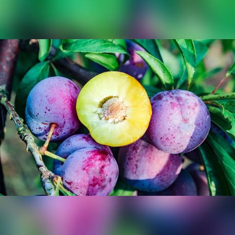 (战纪单机游戏)嘣战纪单机版:沉浸在激情四溢的战斗与冒险世界中的终极体验 (战纪单机游戏)嘣战纪单机版:沉浸在激情四溢的战斗与冒险世界中的终极体验