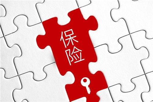 铸时匠攻略第二章：深度解读、技巧分享和实用建议，轻松掌握成功奥秘