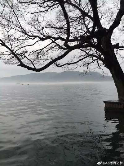 杭州西湖烟雨蒙蒙,倾听大自然的绝美景色,沉醉在雨雾中渐渐迷失方向 杭州西湖烟雨蒙蒙,倾听大自然的绝美景色,沉醉在雨雾中渐渐迷失方向