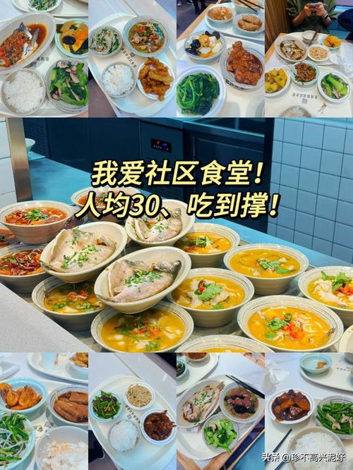 (珍食坊怎么样)深度评测：珍食坊餐厅的菜品口味与服务体验到底如何？