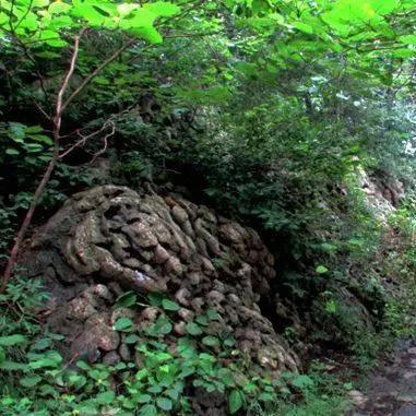 水晶传说香烟价格表图：揭秘最新水晶传说香烟价格，详情一览无遗