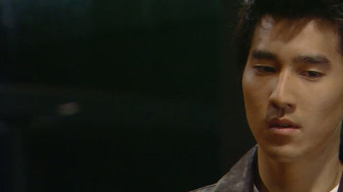 (片名:#痞子英雄)痞子英雄的剧情简介：一个转行黑帮成为正义使者的故事