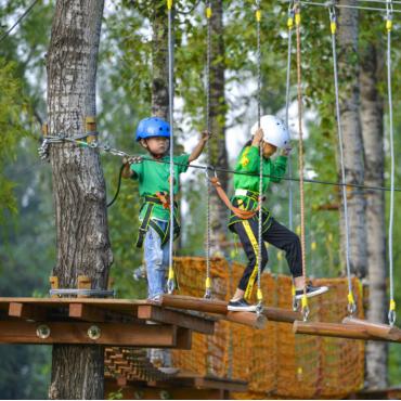探索烧蹦蹦的独特做法：从食材选择到烹饪技巧，教你轻松制作美味