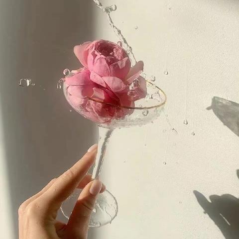 最新版十万个冷笑话2022手游更新啦,快来体验各种搞笑趣味挑战! 最新版十万个冷笑话2022手游更新啦,快来体验各种搞笑趣味挑战!