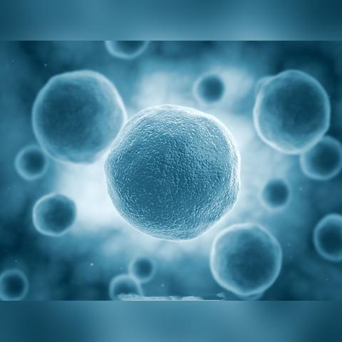 (h2o是液体吗)H2O是液态水，属于无机氧化物吗？