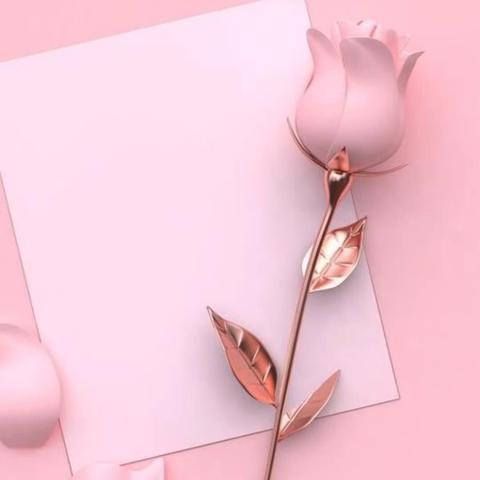 探索生命法则的奥秘：揭秘生命本质、解读生命原理和探寻生命的意义