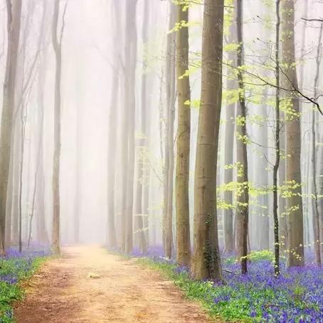 (wind10电脑插耳机之后无声音)Windows 11系统中，电脑插上耳机后无声音，解决策略与操作方法探讨