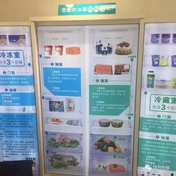 食物归类者官方区有几个入口？快速了解官方网站提供的入口选择。