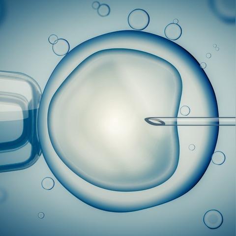 探索基因雨和基因雨风塔的区别及其在遗传学中的不同应用与意义