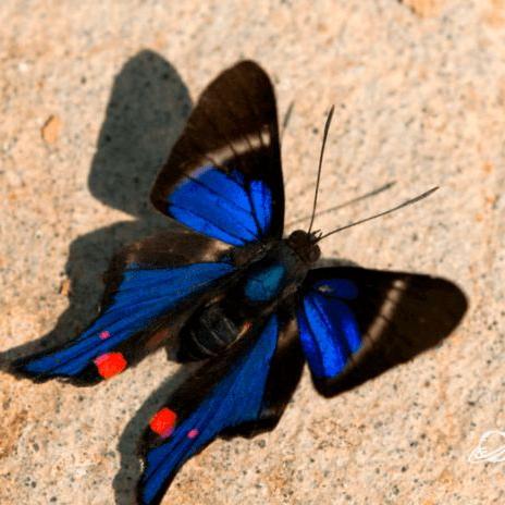 (失落的遗迹怎么走)探寻失落的遗迹：详细指南与最佳路线，开启你的冒险之旅