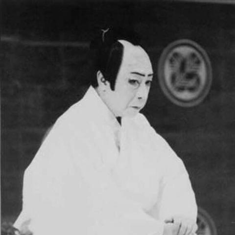 (源氏战争)源战役是什么游戏：揭开这款策略类游戏的神秘面纱与玩法分析