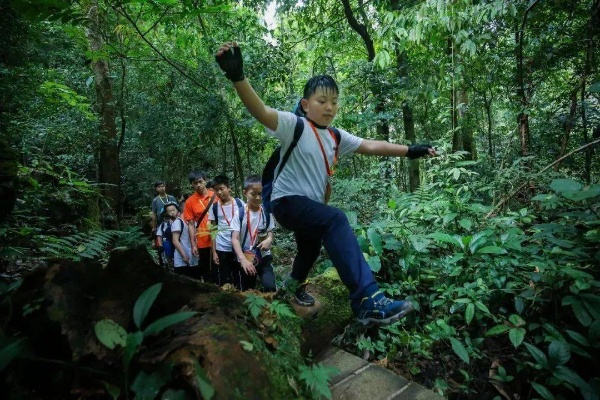 (探险未知类小说)探险日记1.13：穿越未知丛林，靠勇气与智慧共同挑战