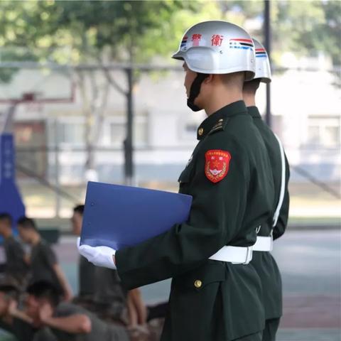 (行走大师百度百科)行走大师是哪个国家的？探寻世界各国行走传统的源头和特点