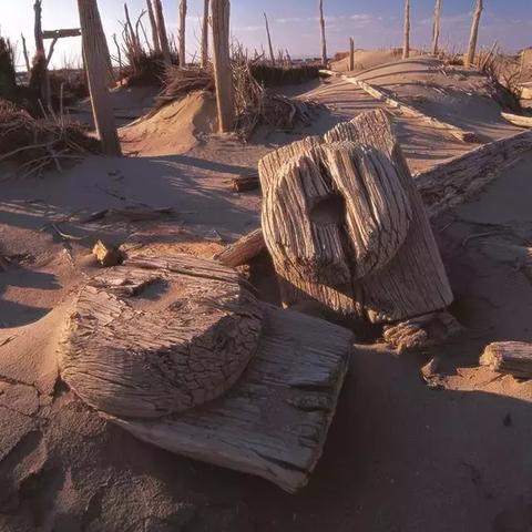 (神秘龙图片)探索神秘龙城，畅玩最新手游官网大片场