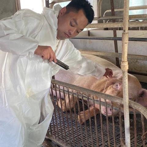 重生贵女攻略书评：揭秘小说中的人物设定和情节发展，带你一起探讨重生题材小说的魅力