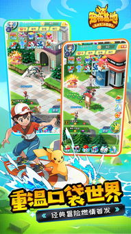 探索全国最大的宠物基地：梦想中的宠物乐园与爱宠生活的完美结合