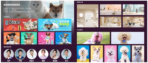 探索全国最大的宠物基地:梦想中的宠物乐园与爱宠生活的完美结合 探索全国最大的宠物基地:梦想中的宠物乐园与爱宠生活的完美结合