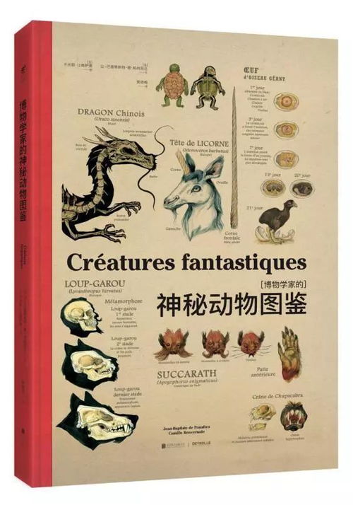 探秘自然美学：《四季物语图鉴大全》中秋冬春夏的生物物种及其生态环境揭秘