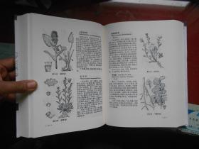 探秘自然美学：《四季物语图鉴大全》中秋冬春夏的生物物种及其生态环境揭秘