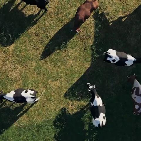 (模拟农场的)探秘模拟农场23：种植、养殖、经营全新挑战等你来应对！