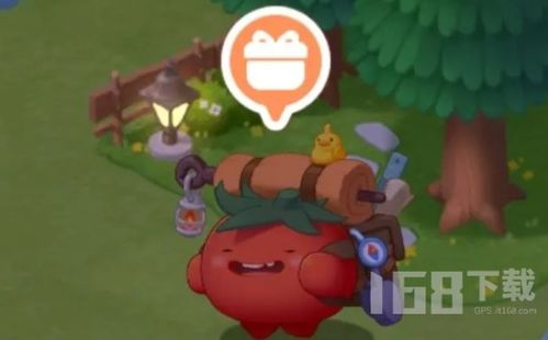 (遇见喵克斯攻略)如何获取遇见喵克斯宠物盲盒?步骤详解! (遇见喵克斯攻略)如何获取遇见喵克斯宠物盲盒?步骤详解!