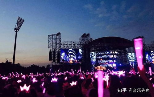 体验超凡音乐魅力：椿之歌官方网站入口正式开放，汇聚全球热门音乐资源