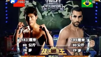 (《武林风》歌曲)《武林风之歌：传世神功典藏》电影名称为何？