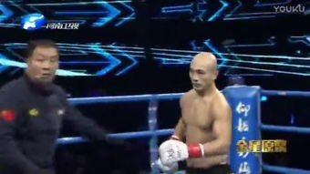 (《武林风》歌曲)《武林风之歌：传世神功典藏》电影名称为何？