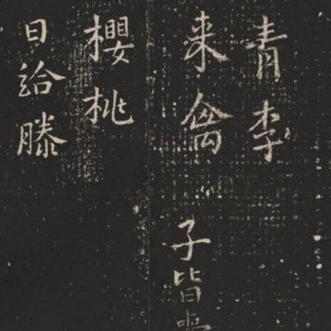 “探寻藏锋行小说在线阅读的最新资讯”