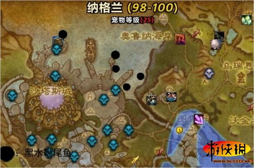 (魔兽世界钓鱼技巧完全攻略)从魔兽世界钓鱼技巧1到375：速学攻略，迅速冲级提升游戏体验