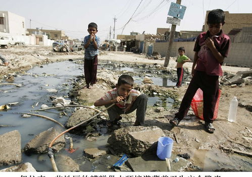 为爱情而炼金2024：科技与生活相融合，研究未来人工智能如何重塑浪漫情感