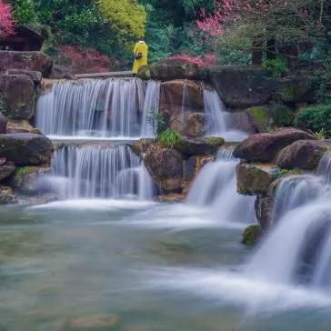 逍遥八仙湖景区：探秘天然氧吧，领略大自然鬼斧神工的绝美风光
